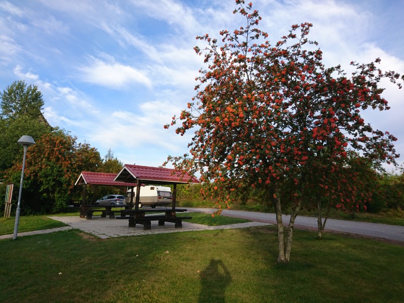 Höstfoto från rastplats Näsbysjön